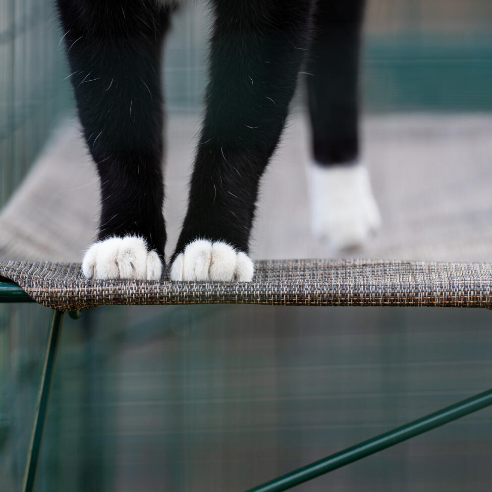durable cat shelf