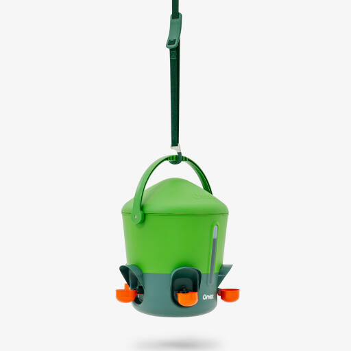 eglu green waterer and hanger render