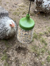 My chickens love it 