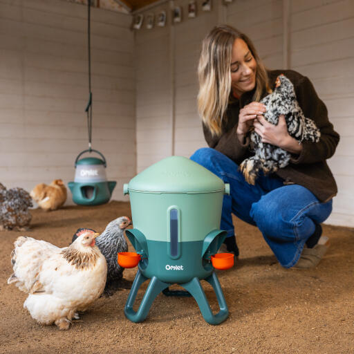 with the omlet insulated waterer your hens can always access clean water