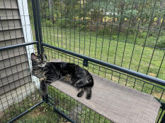 Sooo relaxed