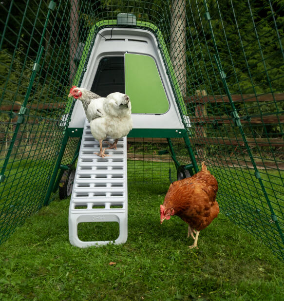 detail of predator resistant eglu go up chicken run