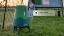 notification for smart automatic chicken feeder closing at night