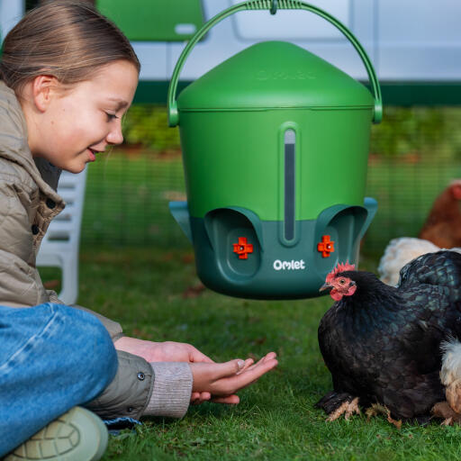 hanging chicken waterer with nipples