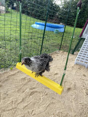 Swinging away! 