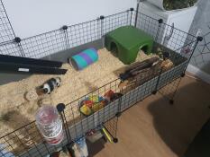 Great Hide