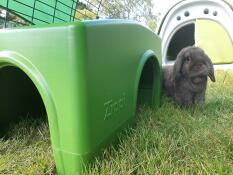 Bill explores around the box