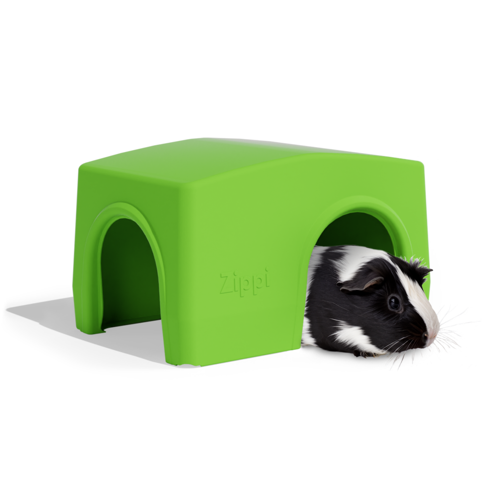 Guinea pig shelter